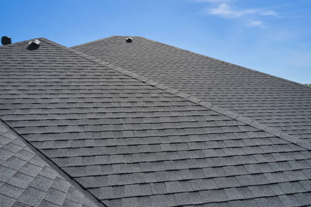 Best Roof Moss and Algae Removal  in Point Baker, FL